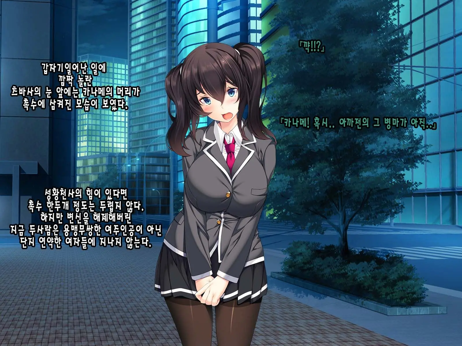 Seikou Tenshi Treat Altherr ~Inyoku Kansen~ | 성황천사 트리트 알테일 ~음욕감염~
